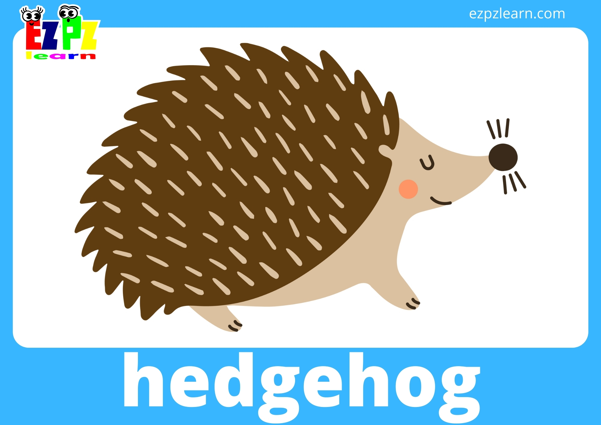 hedgehog